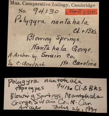 Media type: image;   Malacology 94130 Aspect: labels